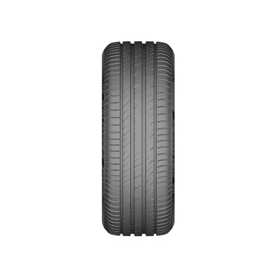 Pneu 215/50 R17 DS2 95W DELINTE DAC Neumáticos