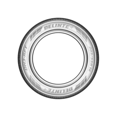 Pneu 205/55 R17 DH3-RFT 91V DELINTE DAC Neumáticos